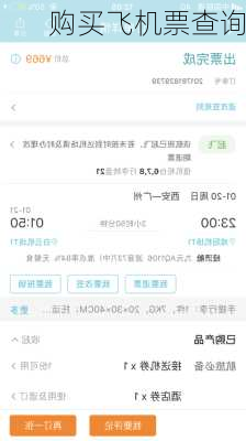 购买飞机票查询-第2张图片-欧景旅游网