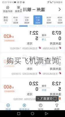 购买飞机票查询-第1张图片-欧景旅游网