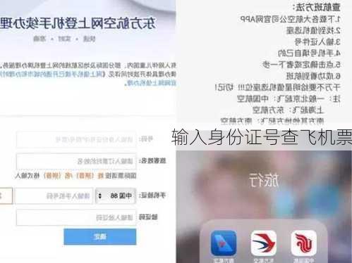 输入身份证号查飞机票-第3张图片-欧景旅游网