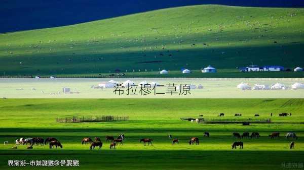 希拉穆仁草原-第3张图片-欧景旅游网