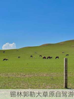 锡林郭勒大草原自驾游-第2张图片-欧景旅游网