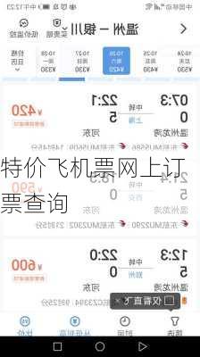 特价飞机票网上订票查询-第2张图片-欧景旅游网