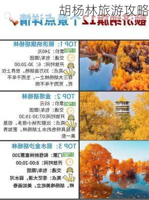 胡杨林旅游攻略-第3张图片-欧景旅游网