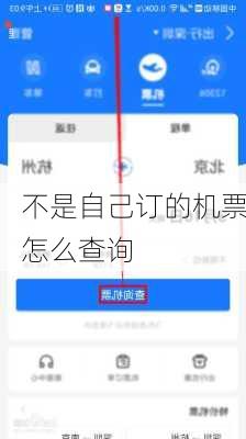 不是自己订的机票怎么查询