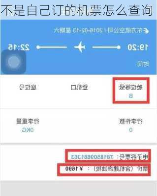 不是自己订的机票怎么查询-第3张图片-欧景旅游网