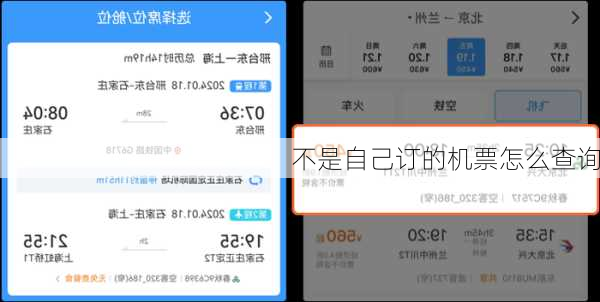 不是自己订的机票怎么查询-第2张图片-欧景旅游网