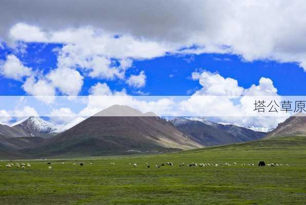 塔公草原-第3张图片-欧景旅游网