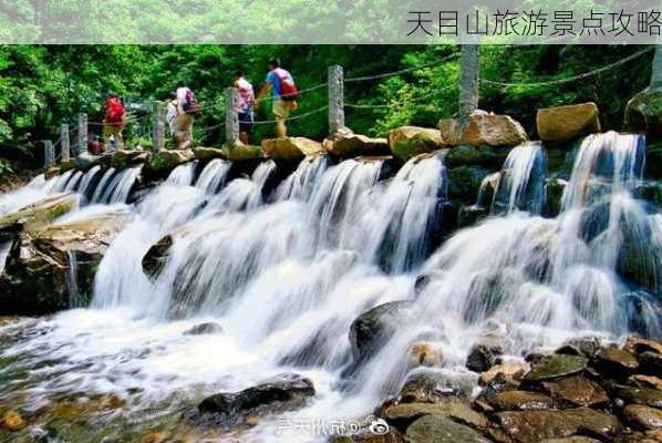 天目山旅游景点攻略-第3张图片-欧景旅游网