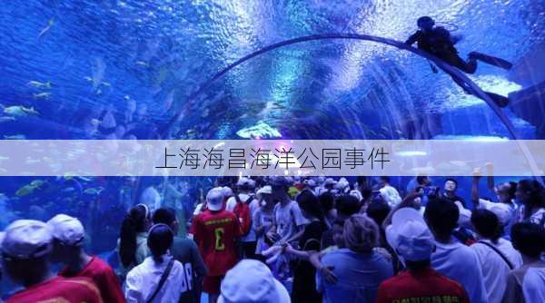 上海海昌海洋公园事件-第1张图片-欧景旅游网