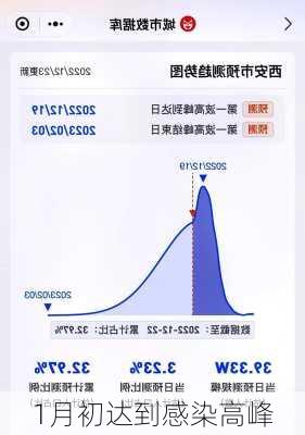 1月初达到感染高峰-第2张图片-欧景旅游网