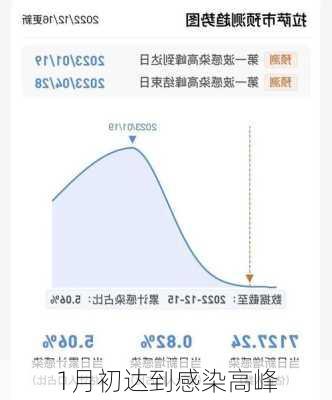 1月初达到感染高峰-第3张图片-欧景旅游网