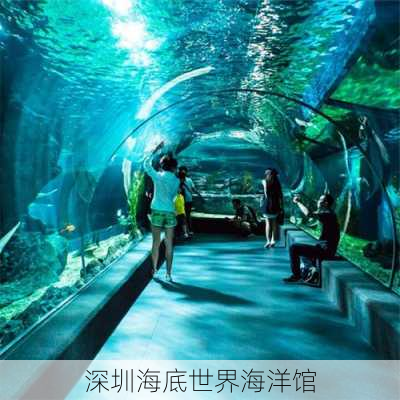 深圳海底世界海洋馆-第3张图片-欧景旅游网