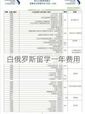 白俄罗斯留学一年费用-第2张图片-欧景旅游网