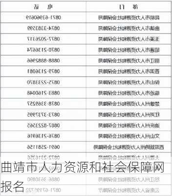 曲靖市人力资源和社会保障网报名-第2张图片-欧景旅游网