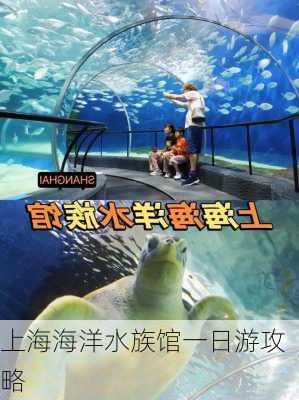 上海海洋水族馆一日游攻略-第3张图片-欧景旅游网