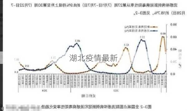 湖北疫情最新