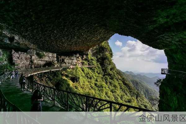 金佛山风景区-第2张图片-欧景旅游网