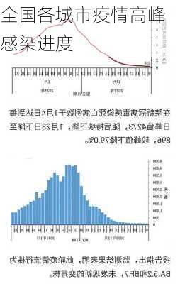 全国各城市疫情高峰感染进度-第3张图片-欧景旅游网