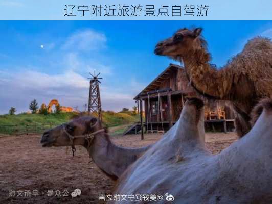 辽宁附近旅游景点自驾游-第3张图片-欧景旅游网