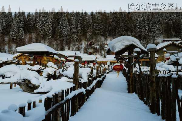 哈尔滨雪乡图片