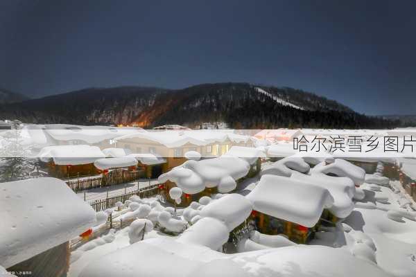 哈尔滨雪乡图片-第2张图片-欧景旅游网