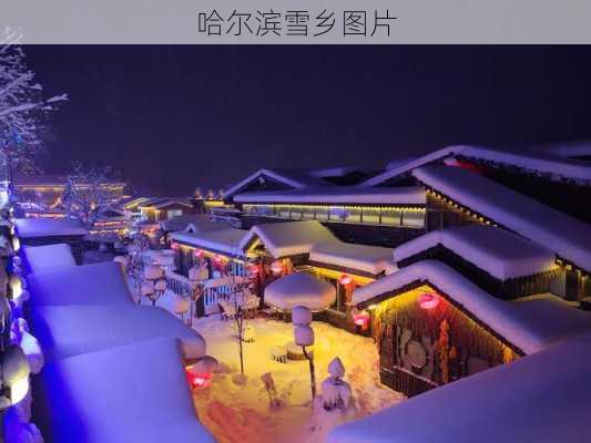 哈尔滨雪乡图片-第3张图片-欧景旅游网