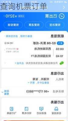 查询机票订单-第1张图片-欧景旅游网