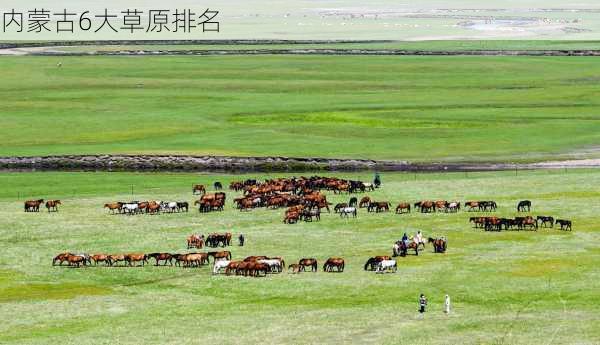 内蒙古6大草原排名-第3张图片-欧景旅游网