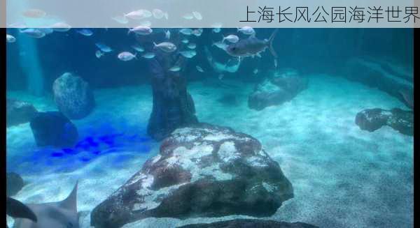 上海长风公园海洋世界