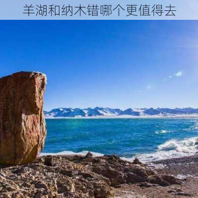 羊湖和纳木错哪个更值得去-第2张图片-欧景旅游网