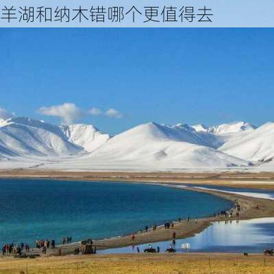 羊湖和纳木错哪个更值得去-第3张图片-欧景旅游网