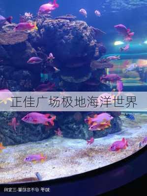 正佳广场极地海洋世界