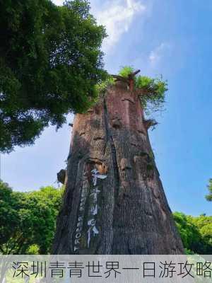 深圳青青世界一日游攻略-第3张图片-欧景旅游网