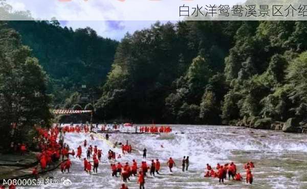 白水洋鸳鸯溪景区介绍