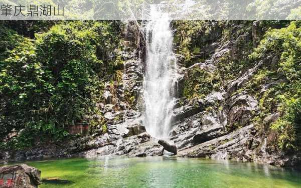 肇庆鼎湖山-第1张图片-欧景旅游网