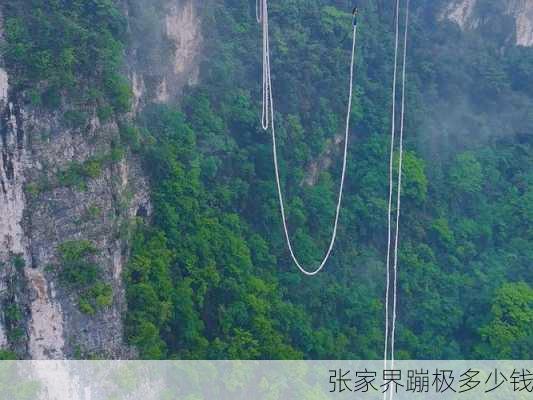 张家界蹦极多少钱-第2张图片-欧景旅游网