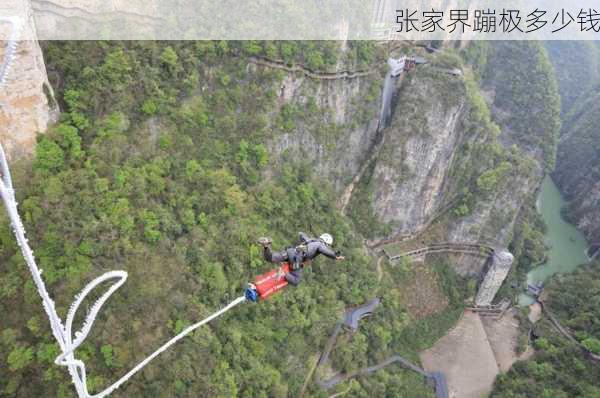 张家界蹦极多少钱-第3张图片-欧景旅游网