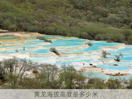 黄龙海拔高度是多少米-第1张图片-欧景旅游网