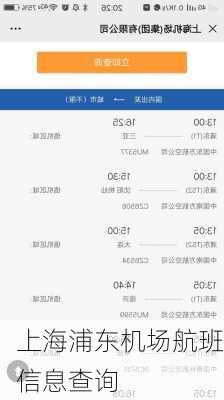 上海浦东机场航班信息查询