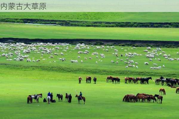 内蒙古大草原-第1张图片-欧景旅游网