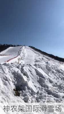 神农架国际滑雪场-第2张图片-欧景旅游网