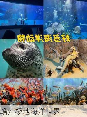 赣州极地海洋世界-第3张图片-欧景旅游网