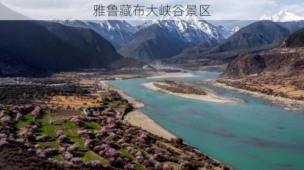 雅鲁藏布大峡谷景区-第3张图片-欧景旅游网