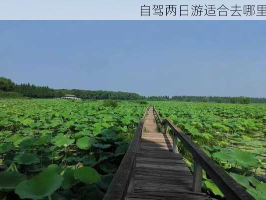 自驾两日游适合去哪里-第2张图片-欧景旅游网