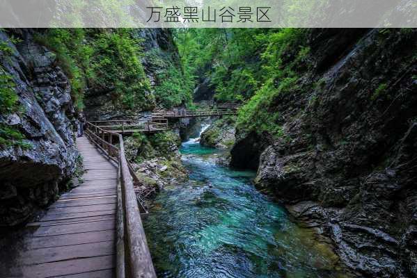 万盛黑山谷景区-第1张图片-欧景旅游网