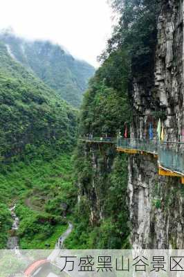 万盛黑山谷景区-第2张图片-欧景旅游网