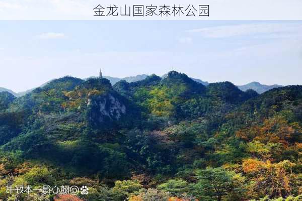 金龙山国家森林公园-第1张图片-欧景旅游网