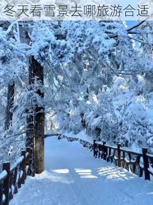 冬天看雪景去哪旅游合适-第2张图片-欧景旅游网