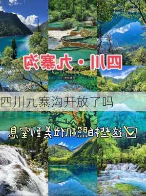 四川九寨沟开放了吗-第2张图片-欧景旅游网